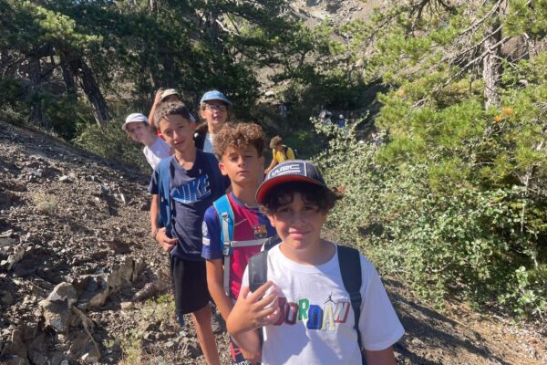 39c95b3d-fc03-453a-98db-bfc6c03a20a0