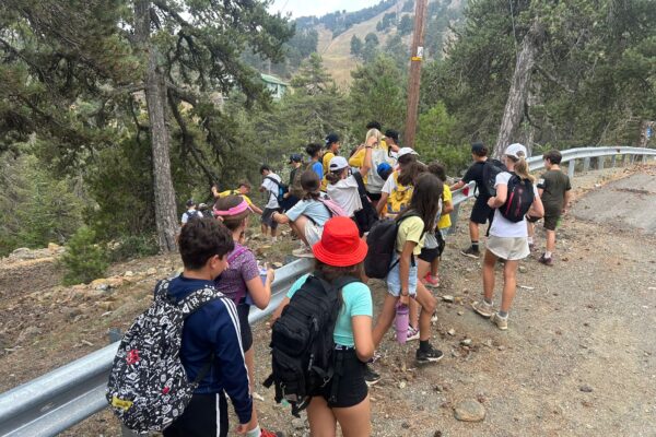 6901060a-dc25-4046-a76d-f57af30057b3