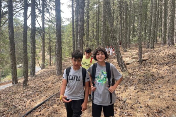 d9148130-5866-450a-a1f8-9aec12d01360