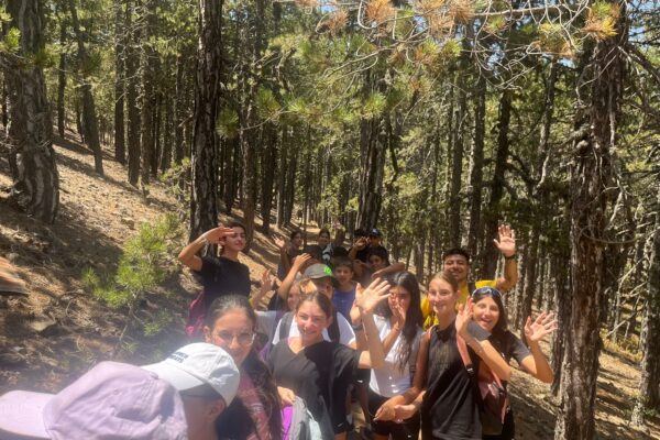 1f1b3d1f-a589-49ab-b65e-e6eff1af78a1