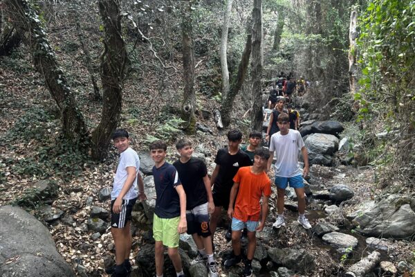 630d5114-b676-4500-aad4-7e83514a8f3c