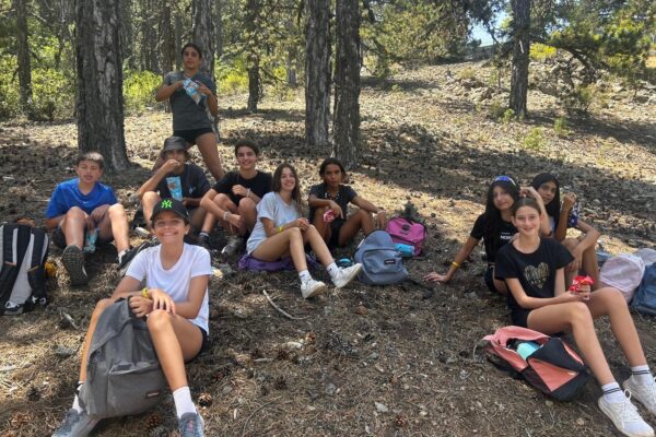 7a220e02-d3bf-4bea-962f-c4e7a17adb7c