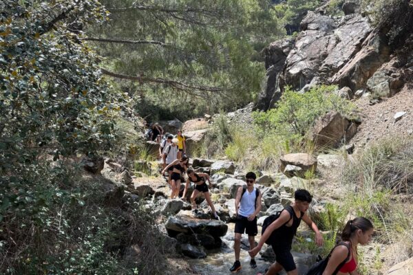 c7ceab78-9ab0-454d-ade2-c23e2f35150e