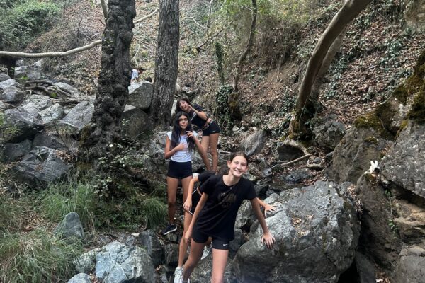 ecba29c2-4aea-44ac-aabb-2138b4af0cec